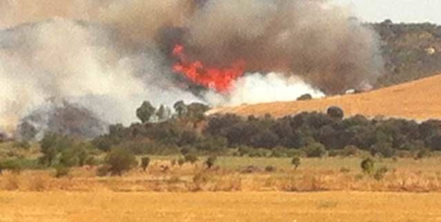 Controlado aunque sin extinguir el incendio de la N-502