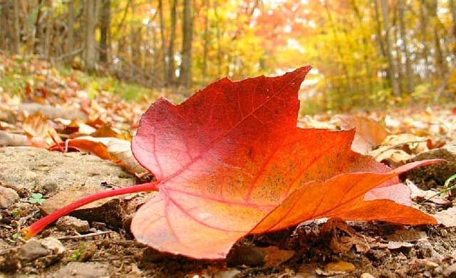 Este otoño será más caluroso de lo normal en toda España