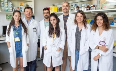 Investigadores del Hospital de Parapléjicos desarrollan microelectrodos de fibra de carbono que permiten el movimiento estimulando la médula espinal