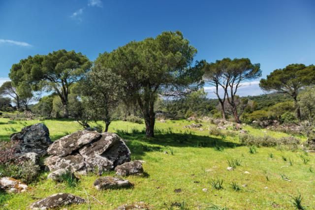 Aumenta el turismo rural en la provincia de Toledo, por encima de la media nacional