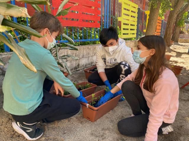 Los alumnos del Rafael Morales y su huerto urbano