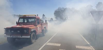 FOTOS | Así trabajaron los equipos de extinción en el incendio forestal en Pepino