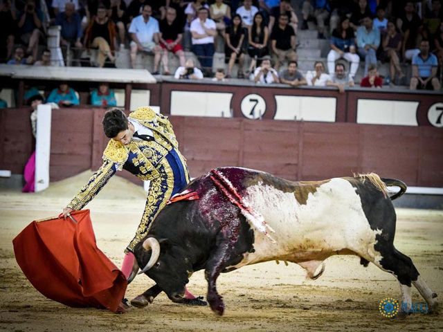 Tomás en un lance durante la lidia.