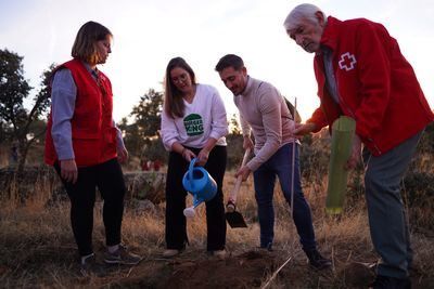 Burger King y Cruz Roja reforestan 1,25 hectáreas de bosques en Toledo