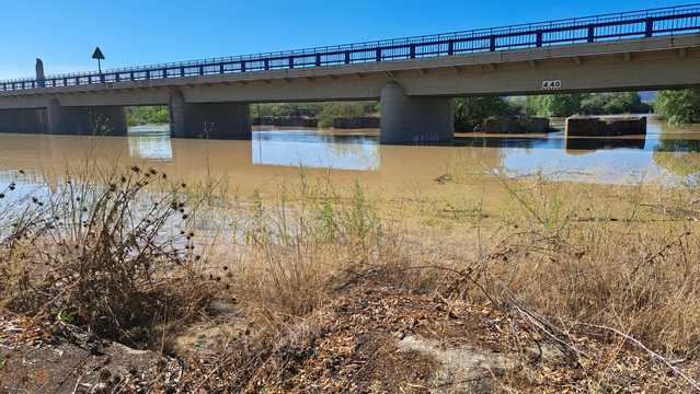 Río Alberche (debajo del puente de la N-Va)