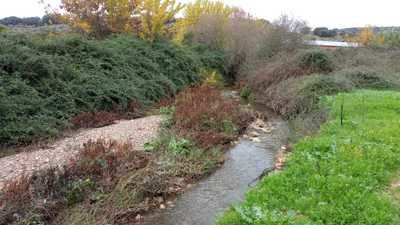 La deserción de las ninfas y los espíritus del agua