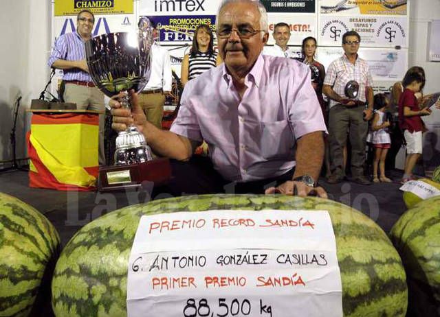 Impresionante récord con una sandía de 88,5 kilos en Villanueva de la Serena