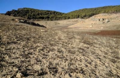 "Desesperación" en el sector ganadero de Guadalajara ante la falta de agua y de pastos por la sequía