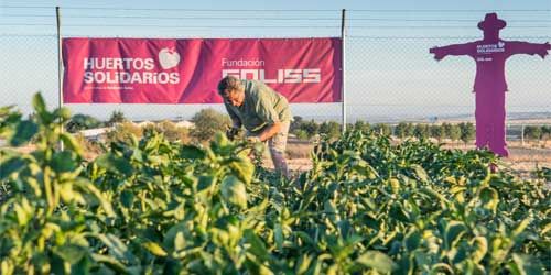 La Fundación Soliss muestra el fruto de su Red Regional de Huertos Solidarios (VIDEO)