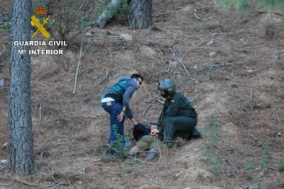 La Guardia Civil desmantela una plantación de marihuana en el Parque Natural de la Sierra de Norte de Guadalajara