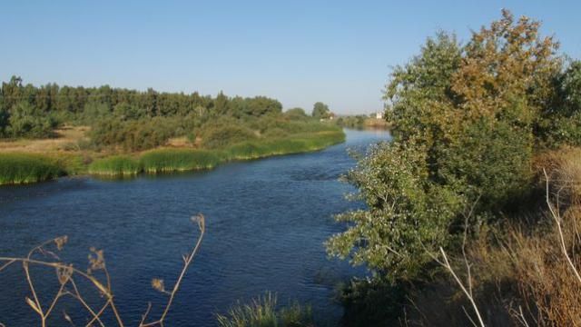 TALAVERA | La autorización para desbrozar la ribera del río llevaba caducada desde 2013