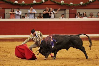 Una oreja para Tomás Rufo en la feria de San Sebastián