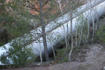 El Gobierno regional se muestra convencido de que el trasvase de agua del Tajo al Levante es “insostenible”