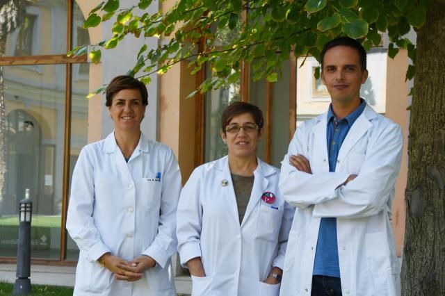 Investigadores de la UCLM prueban que la combinación de fármacos específicos mejora el tratamiento del melanoma