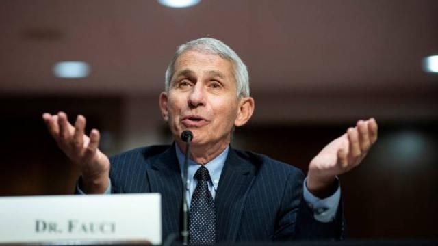 Anthony Fauci