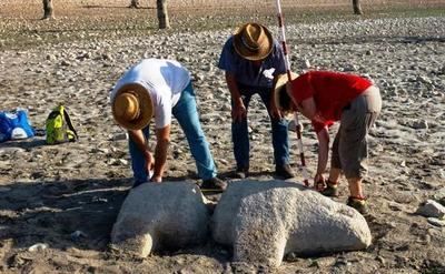 Aparecen esculturas de verracos en el embalse de Valdecañas