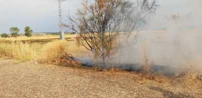 Un rayo origina un incendio en la A-5 cerca de Talavera