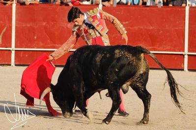 El novillero talaverano Guillermo Muñoz estará en la Feria Taurina de Santa Olalla el 5 de mayo