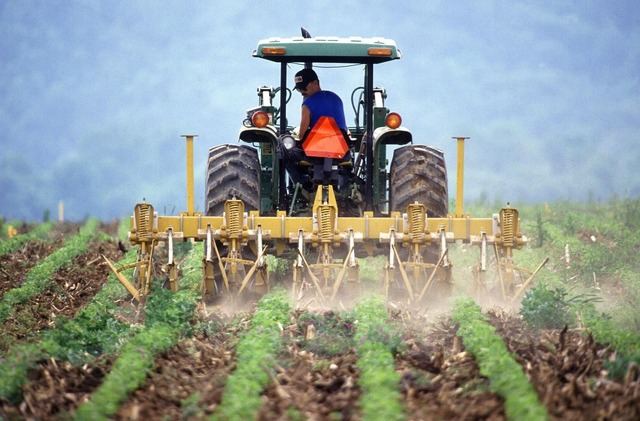 POLÍTICA | El PP pide a Page que 'no abandone' a los agricultores de Socuéllamos
 