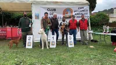 Pepino, escenario de la 'I Quedada de Amigos del Podenco'