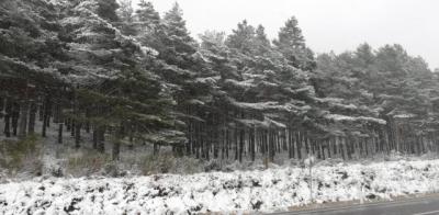 ¿Primavera? El Puerto del Pico está lleno de nieve