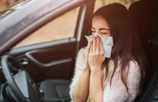 Claves para evitar que tu coche sea un foco de alergias