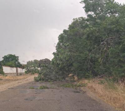 Talavera vuelve a registrar la temperatura más alta de España