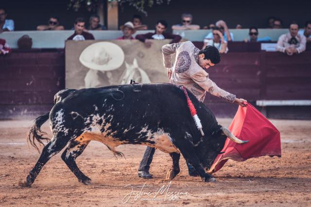 Tomás Rufo debuta en el Coliseo Balear