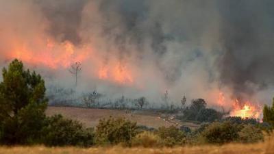 Incendio: "El parque de Monfragüe podría desaparecer"