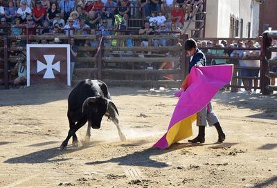 Fran de la Llave sorprende en la sensacional becerrada de Pepino