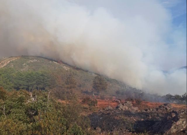 Extinguido el fuego declarado este sábado en Consuegra