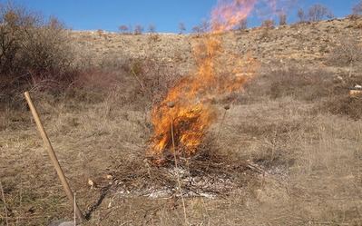 ¿Por qué huele tanto a humo en Talavera?