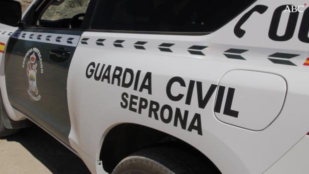 Patrullas del Seprona buscan al hombre desaparecido en Villanueva de Alcorón