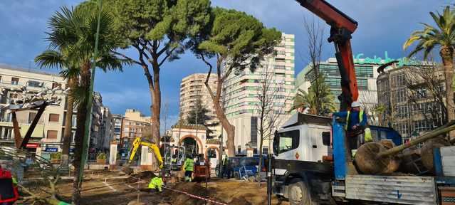 Continúa la replantación de los Jardínes del Prado