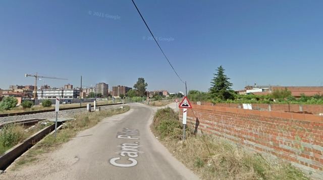 Un perro suelto ataca a un hombre en Talavera