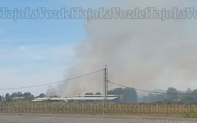 Extinguido un incendio forestal declarado en Talavera