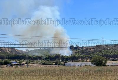 Un incendio agrícola azota Talavera de la Reina