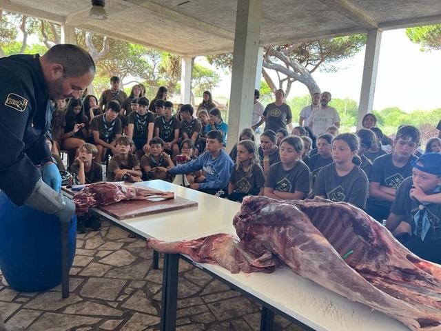 Cárnicas Dibe desvela los secretos de la carne de caza silvestre a un centenar de niños