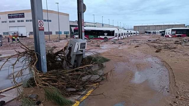 Toledo intentará reactivar cuanto antes las líneas de autobuses: 'La situación es catastrófica'