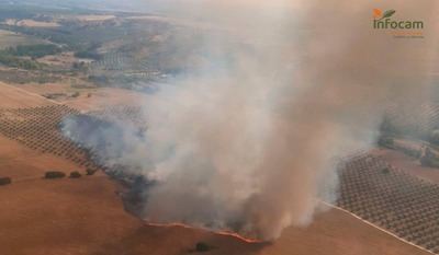 Un nuevo incendio forestal desata el caos en La Pueblanueva