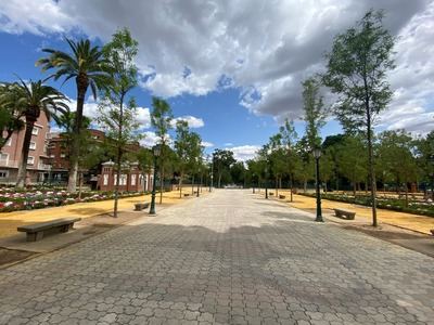 Cierran todos los parques de Talavera por las fuertes rachas de viento