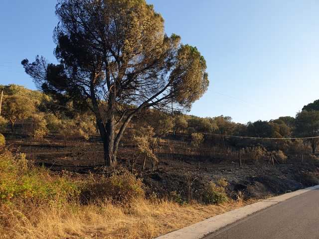 Así se ha quemado el monte junto al embalse de Cazalegas