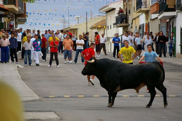 Un pueblo de Toledo celebrará los primeros encierros del país en la era Covid