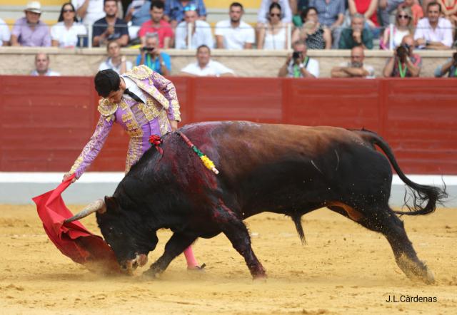 Éxito rotundo: Villaseca de la Sagra vuelve a ser referente taurino con el ‘Certamen Alfarero de Oro 2023’