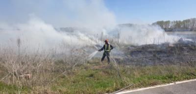 Comienzan los incendios forestales: en 'Espinosillo' (Pepino) y Los Navalucillos