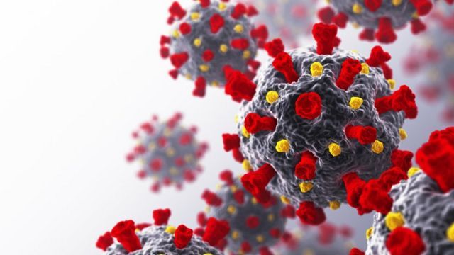 COVID-19 | Investigan una posible cepa mexicana del coronavirus