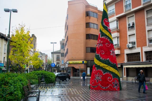 Árbol luminoso en la Plaza del Reloj | Foto: Iván Gutiérrez