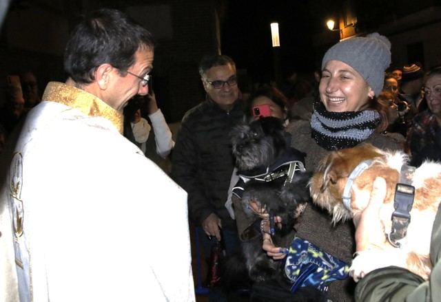 Las calles de Talavera se llenan de animales para celebrar San Antón