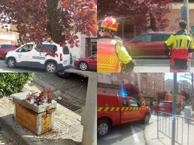 Los Bomberos retiran un enjambre de abejas en plena calle de Talavera