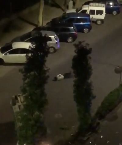 El joven que tuvo un accidente esta madrugada intent&#243; huir de la polic&#237;a